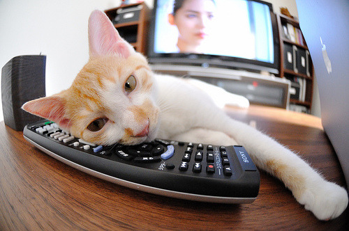 “意甲“冲锋号”响起，球队奋勇拼搏”，意甲 前锋