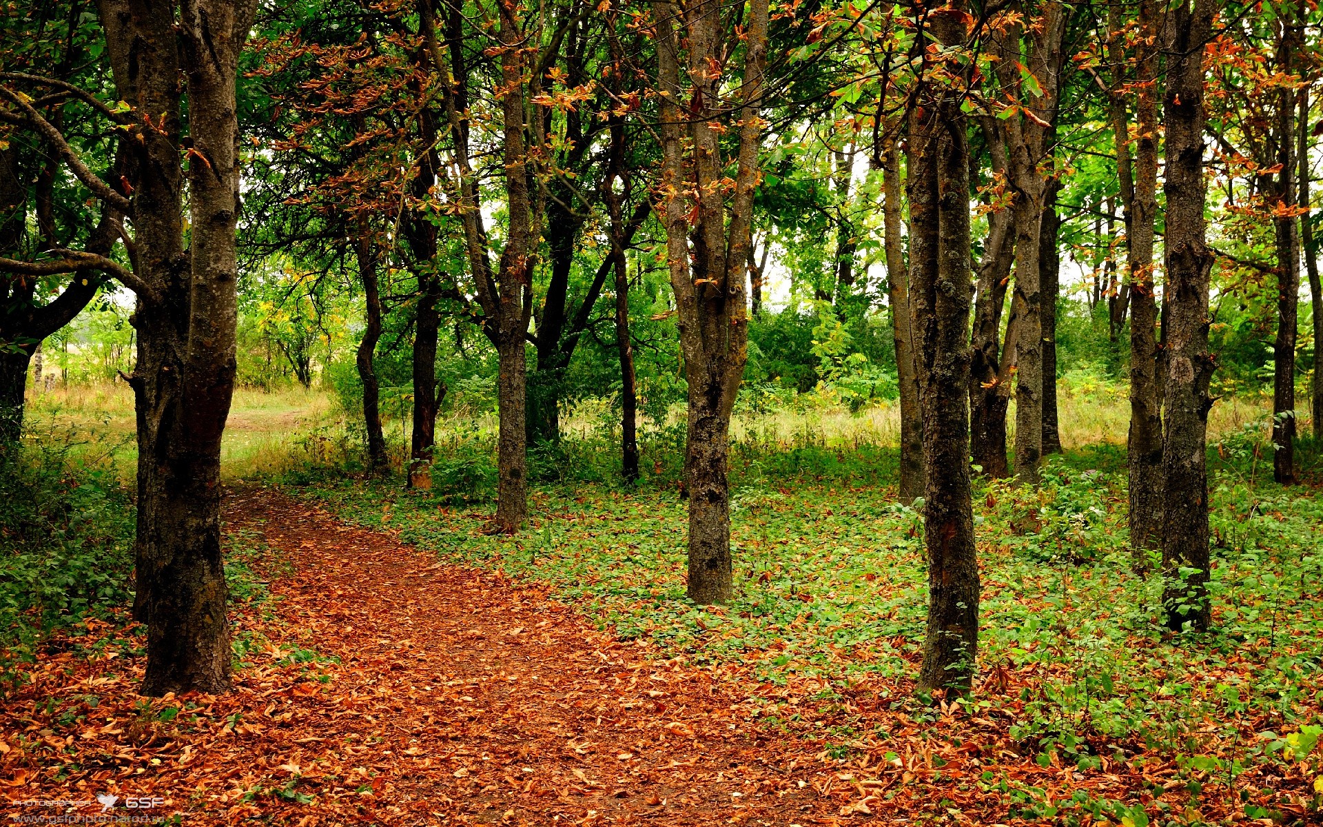 九游娱乐体育官网-【冠军之夜】历届世界冠军的辉煌时刻集锦，世界冠军之路