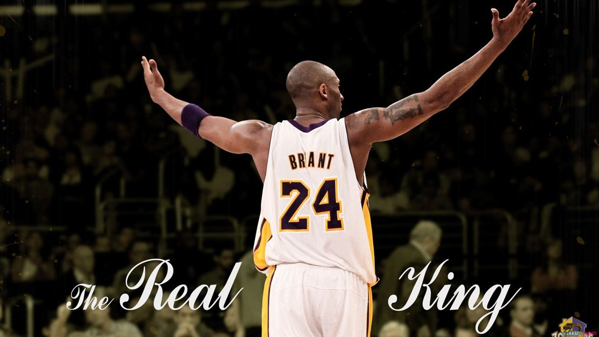 皮特·卡普尔的突破能力和精准的战术执行，让袋鼠队攻守两端均衡